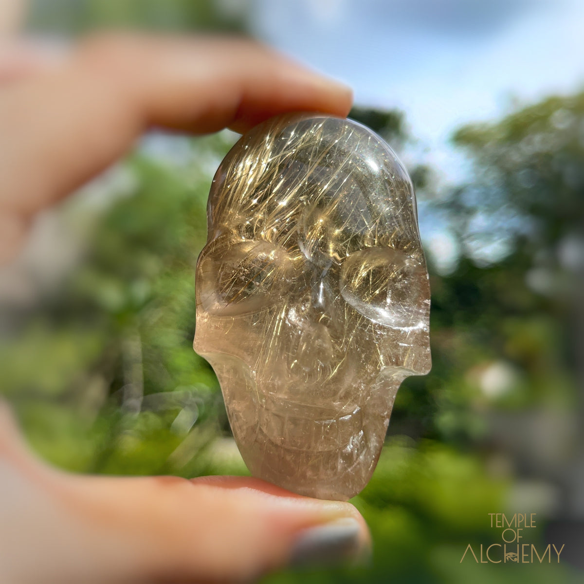 Citrine x Golden Rutiles