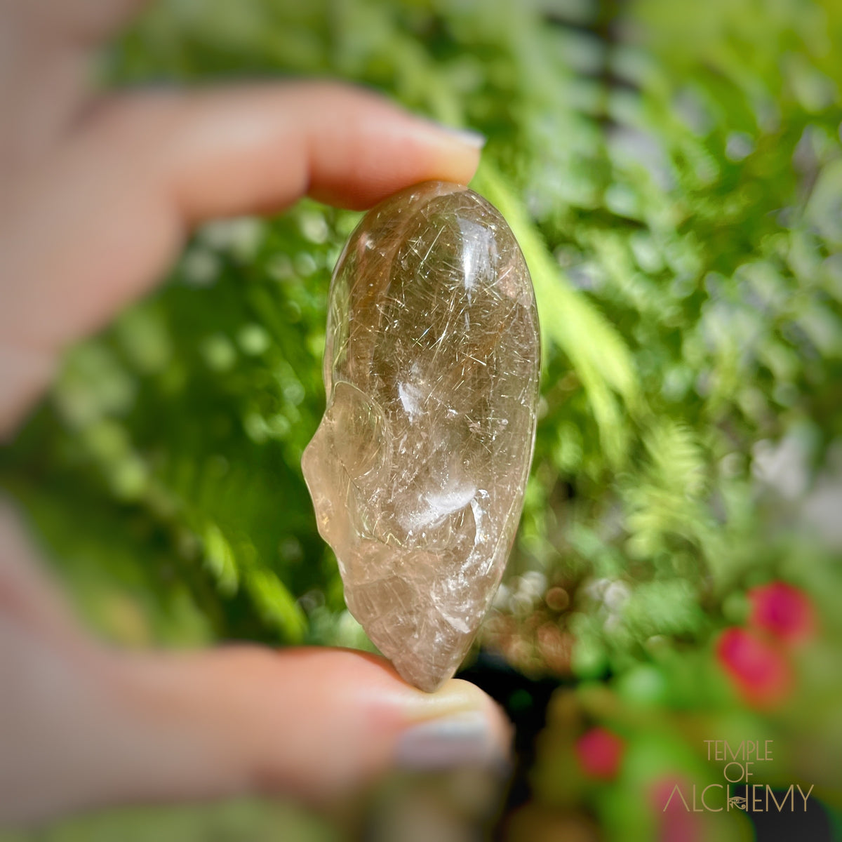 Citrine x Golden Rutiles