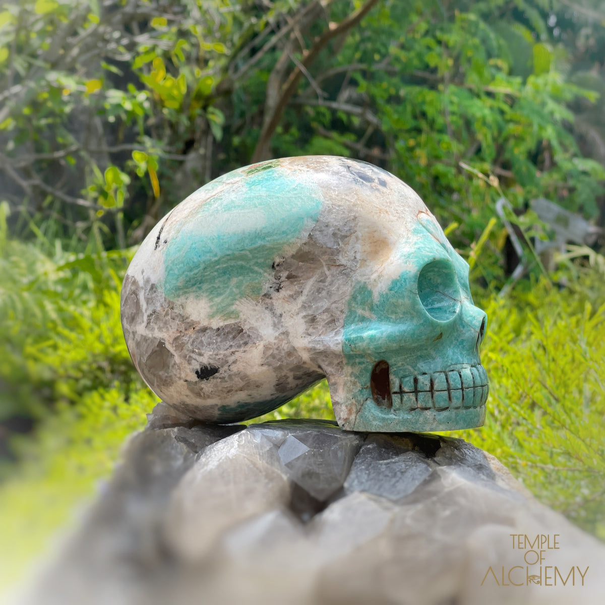 Amazonite x Black Tourmaline x Epidote x Garnet