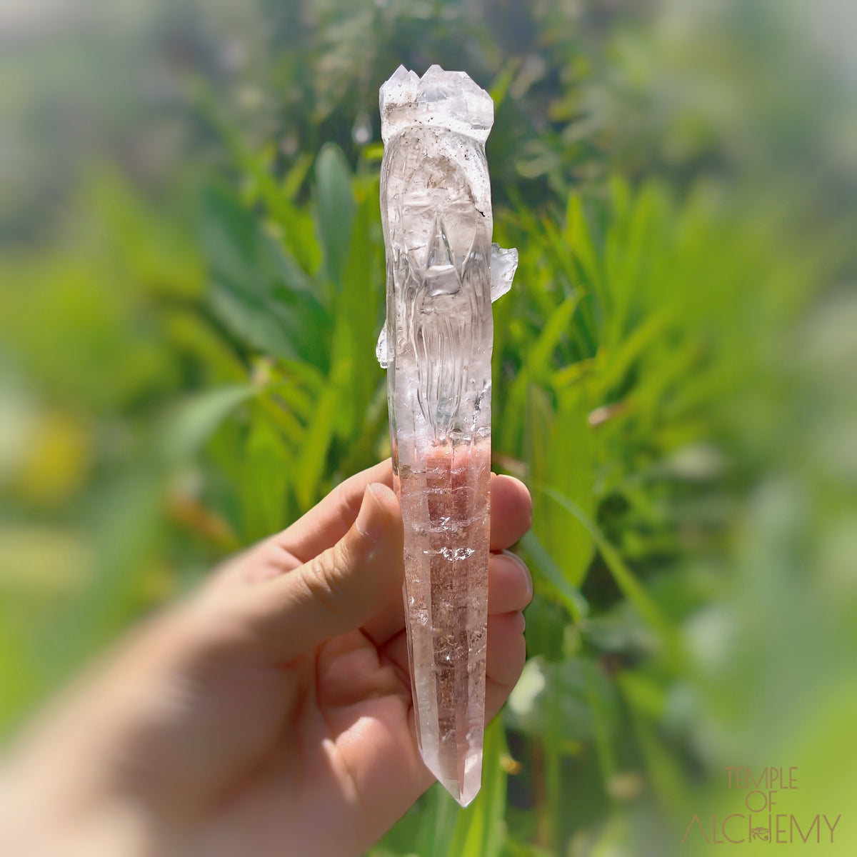 Coming Soon * Artichoke &amp; Bridge 𓄂♡𓆃 Sirius Quartz