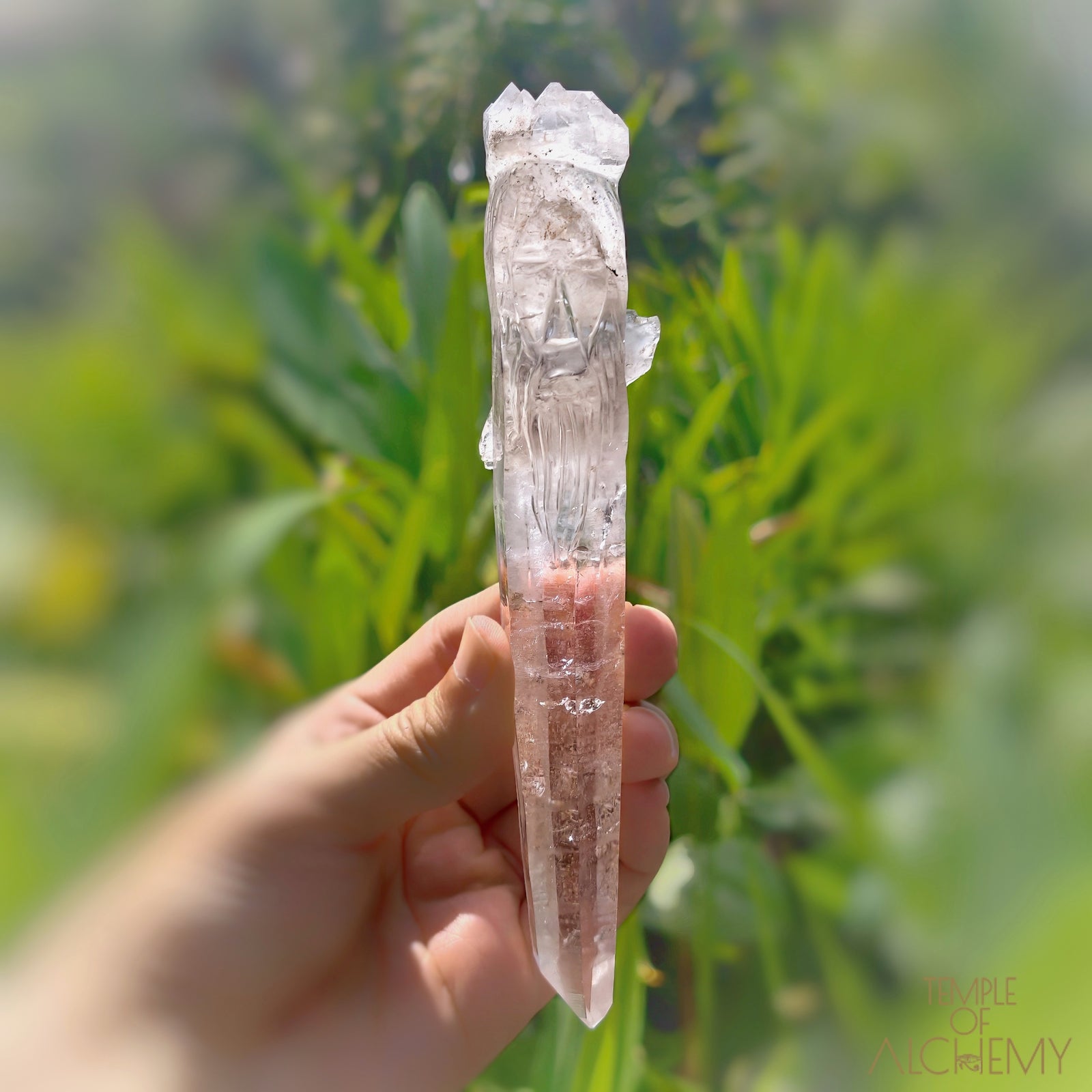 Coming Soon * Artichoke & Bridge 𓄂♡𓆃 Sirius Quartz