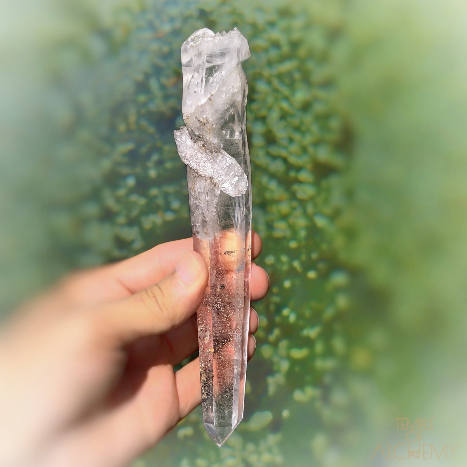 Coming Soon * Artichoke & Bridge 𓄂♡𓆃 Sirius Quartz