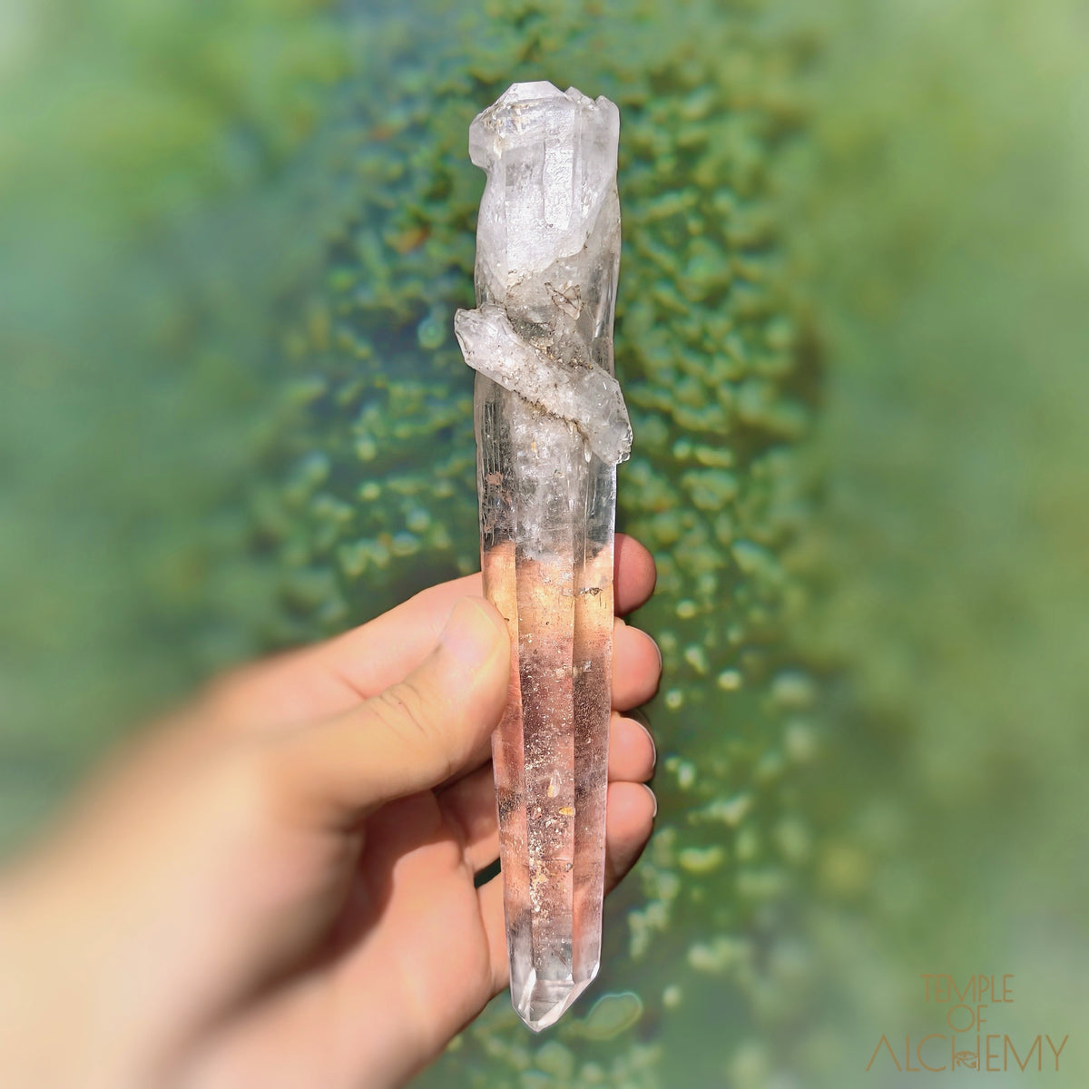 Coming Soon * Artichoke & Bridge 𓄂♡𓆃 Sirius Quartz