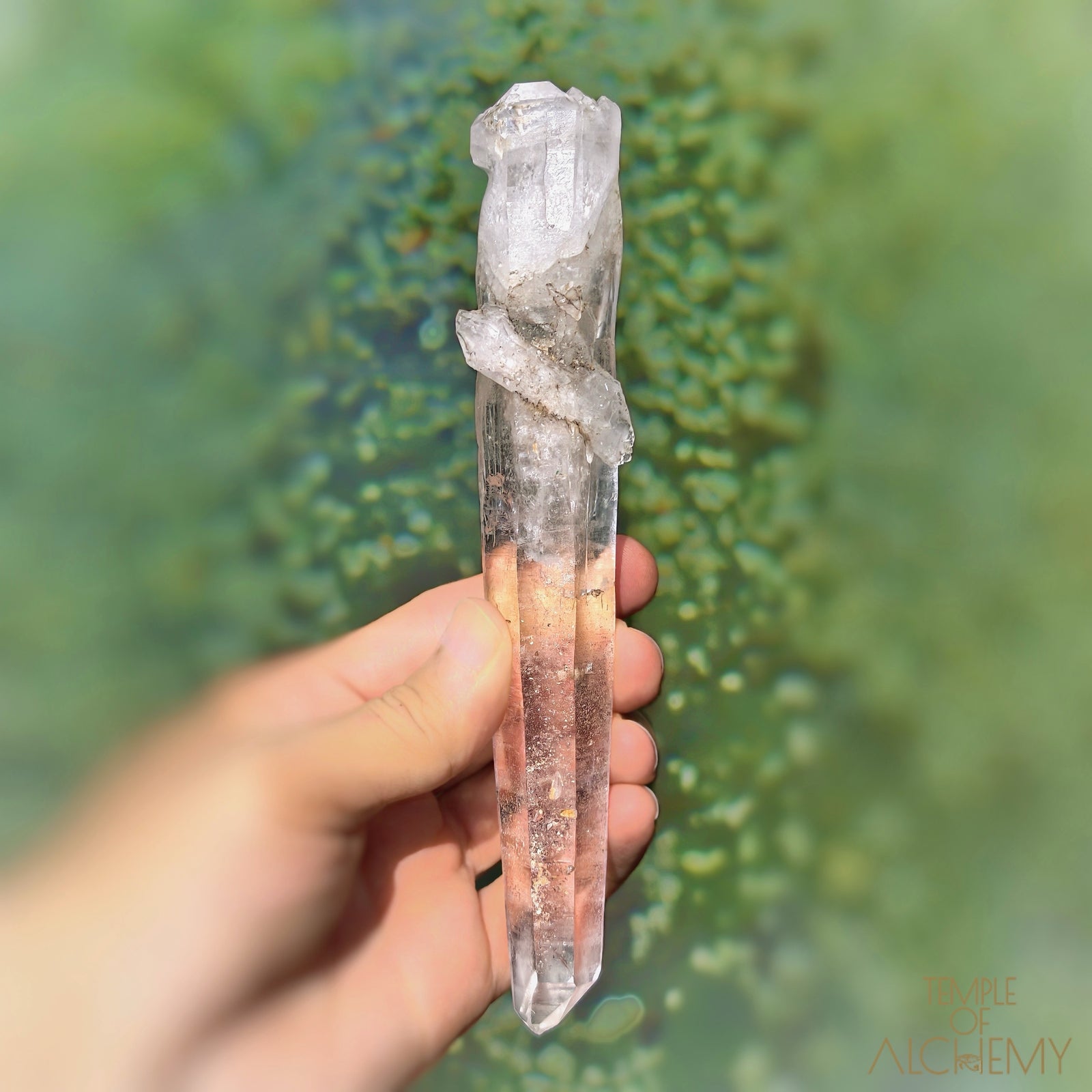 Coming Soon * Artichoke & Bridge 𓄂♡𓆃 Sirius Quartz