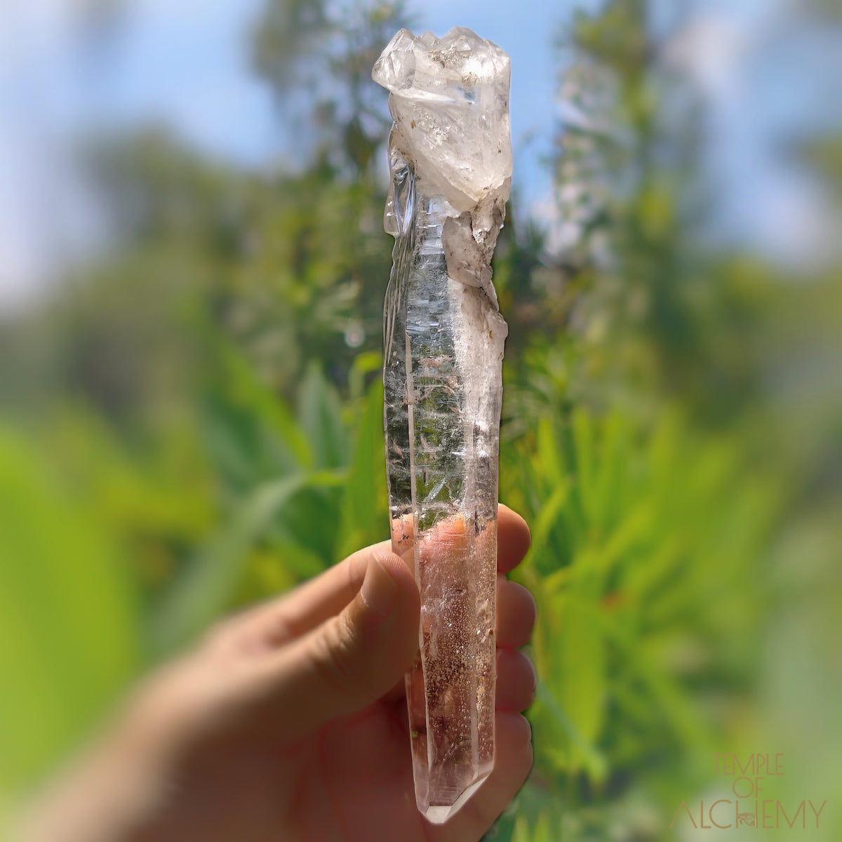 Coming Soon * Artichoke & Bridge 𓄂♡𓆃 Sirius Quartz