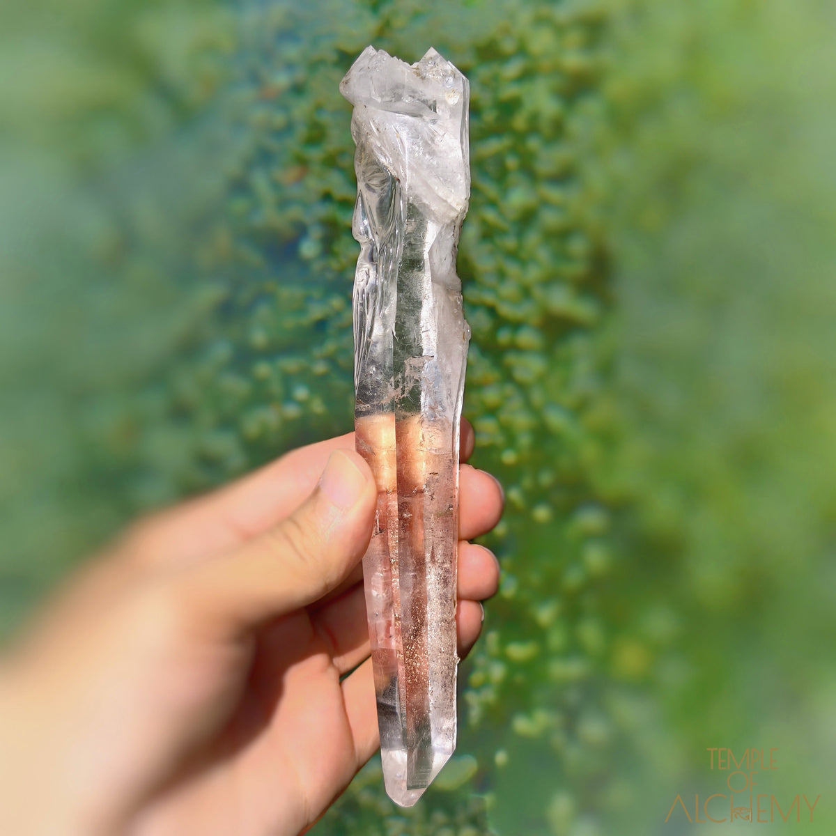 Coming Soon * Artichoke & Bridge 𓄂♡𓆃 Sirius Quartz