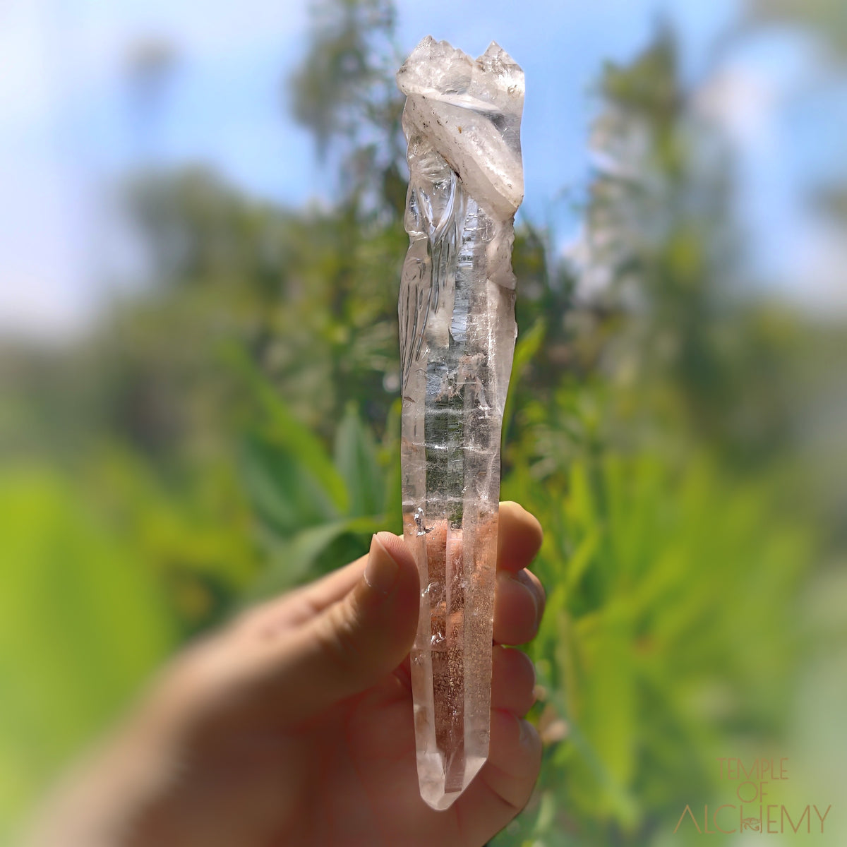 Coming Soon * Artichoke & Bridge 𓄂♡𓆃 Sirius Quartz