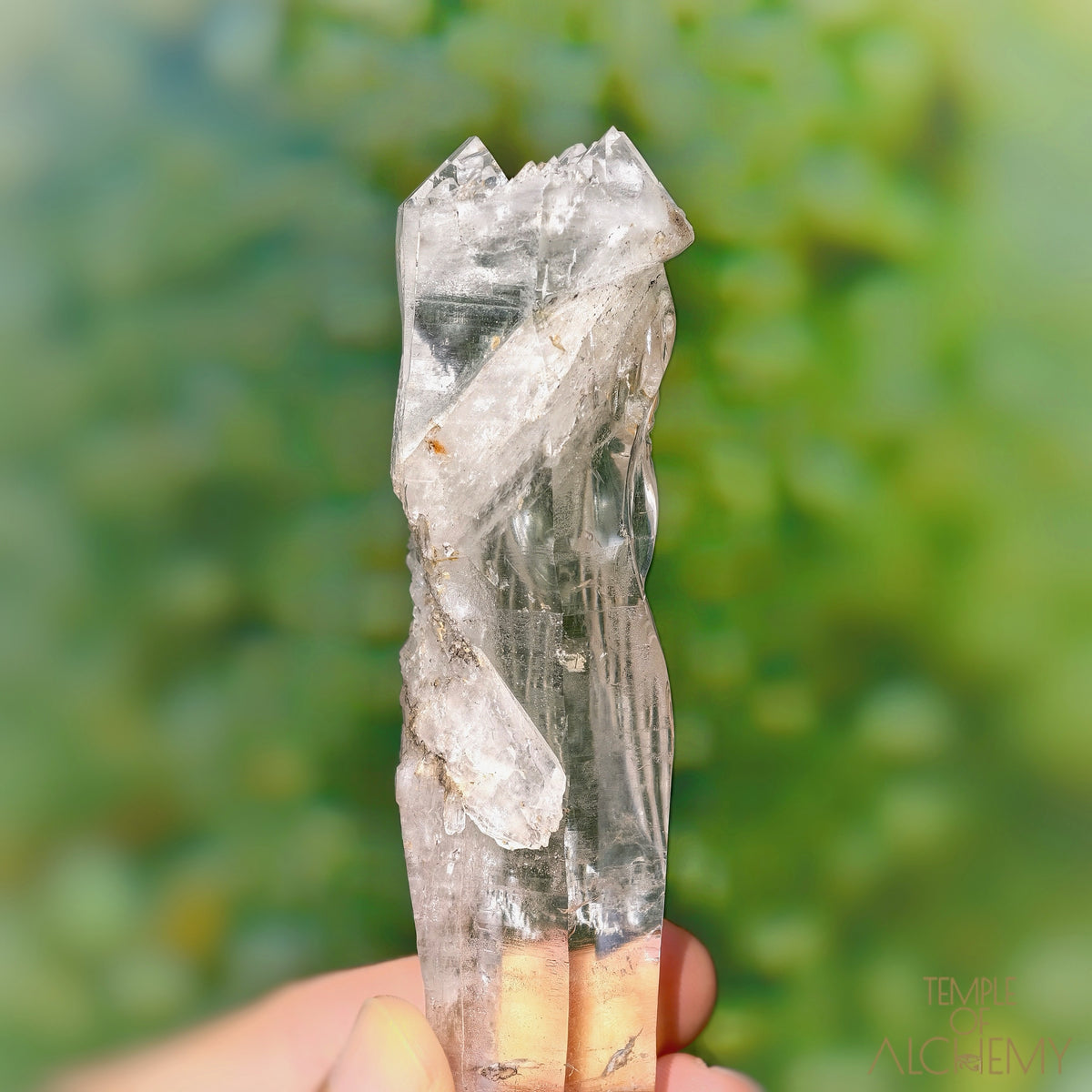 Coming Soon * Artichoke & Bridge 𓄂♡𓆃 Sirius Quartz