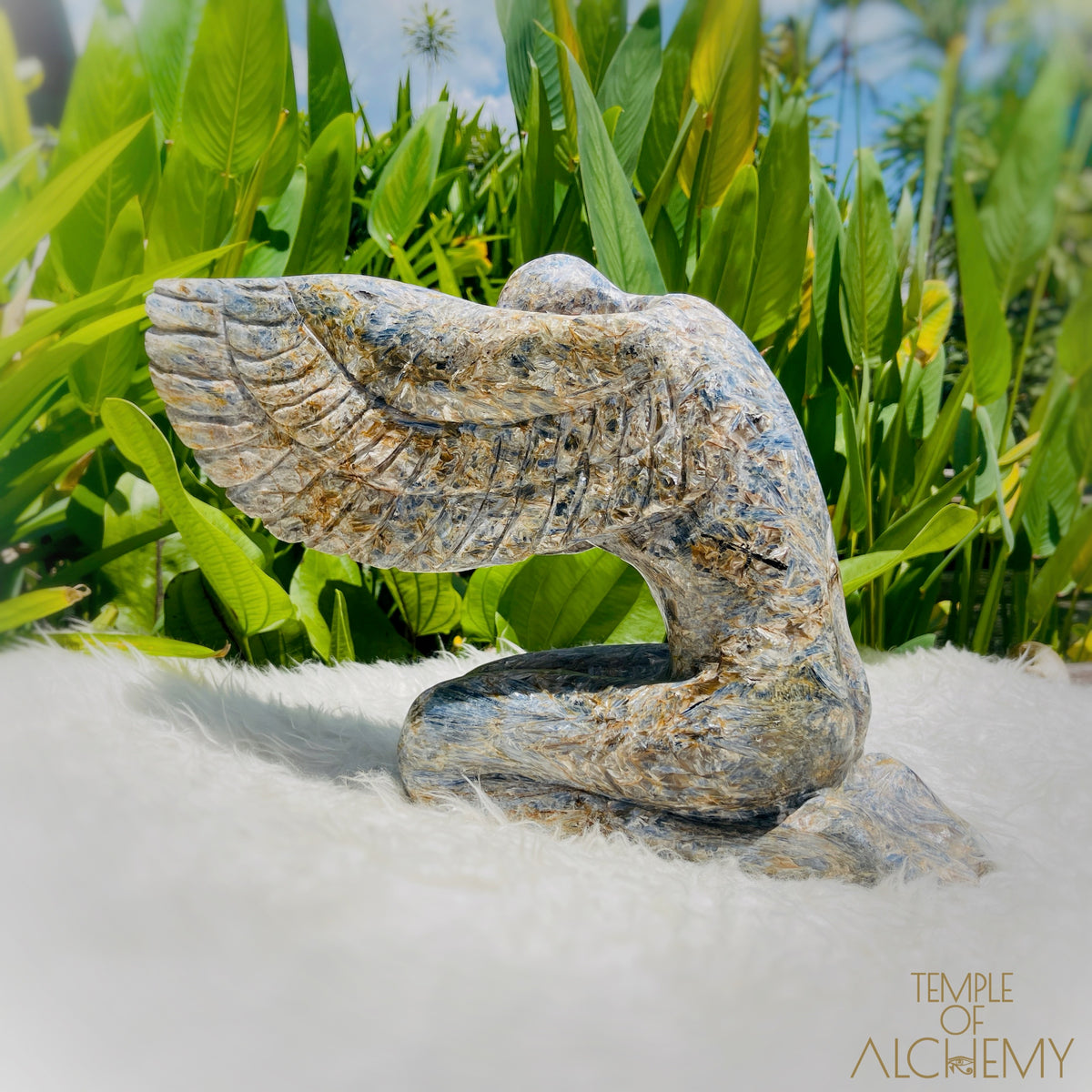 Coming Soon 𓆃 Eden