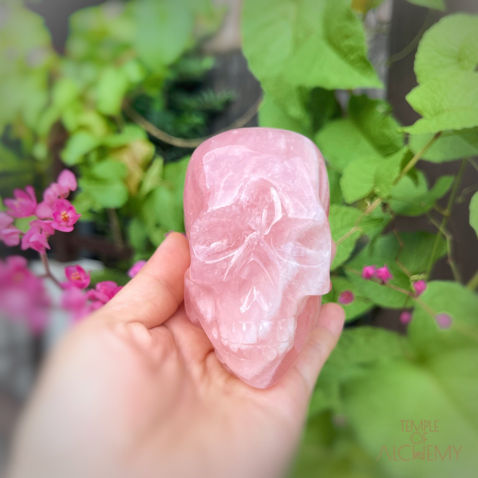 Rose Quartz