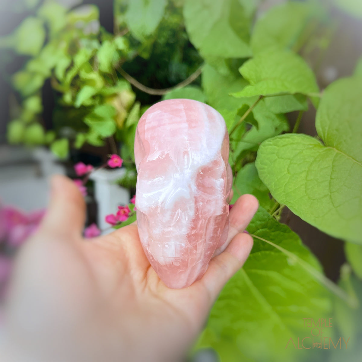 Rose Quartz