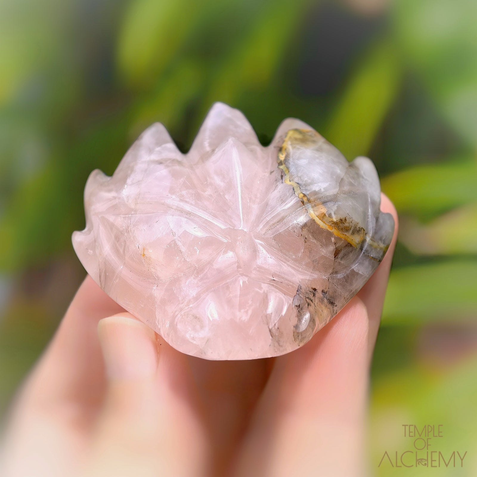 Carbon Included Rose Quartz x Golden Healer