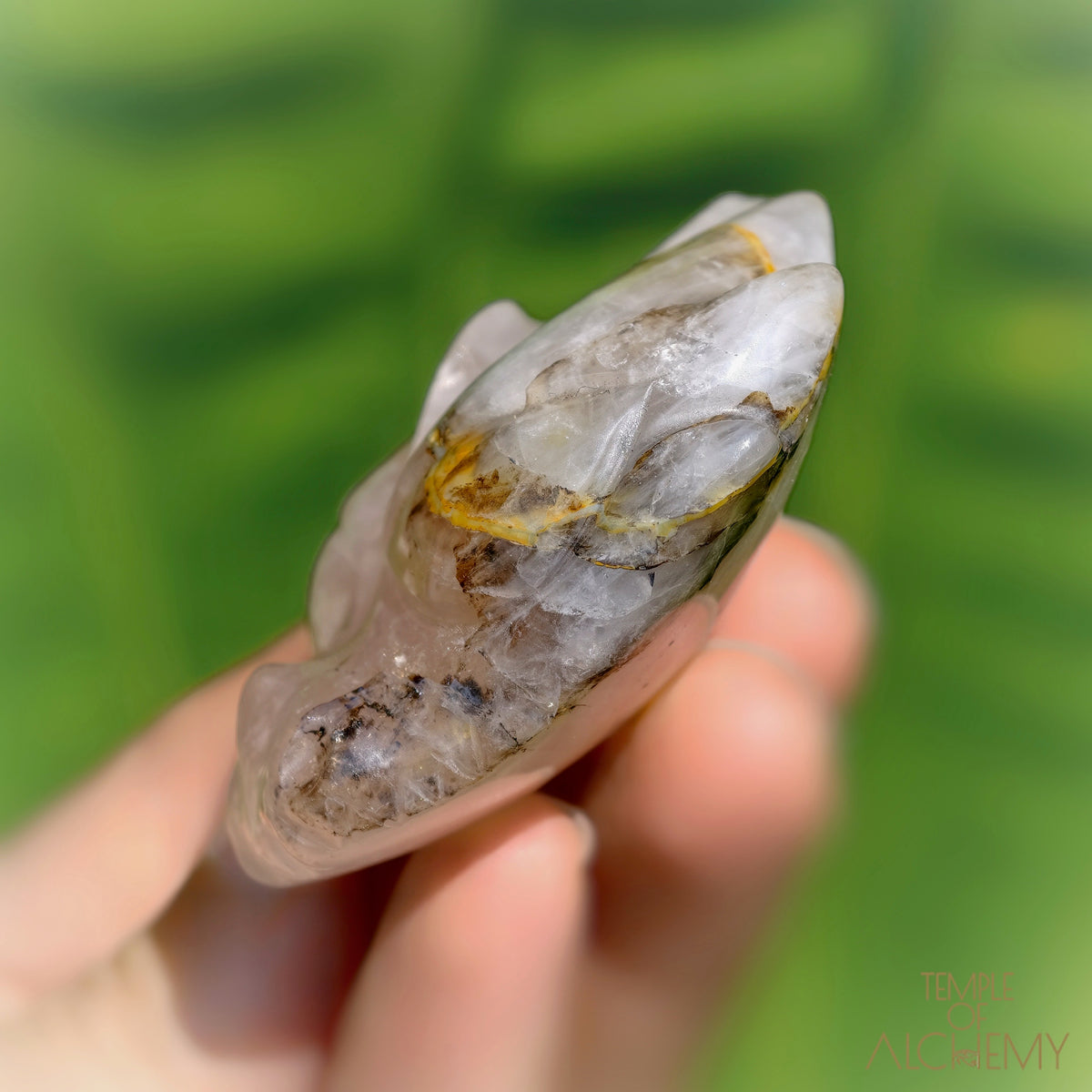 Carbon Included Rose Quartz x Golden Healer