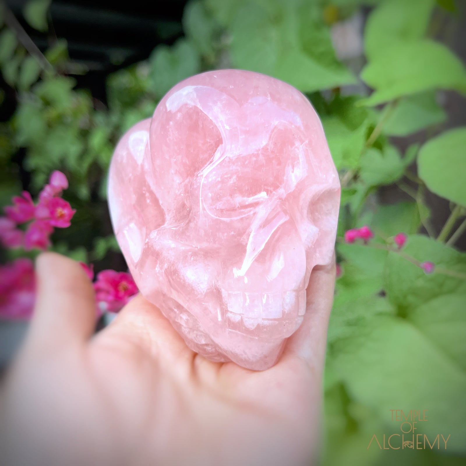 Rose Quartz