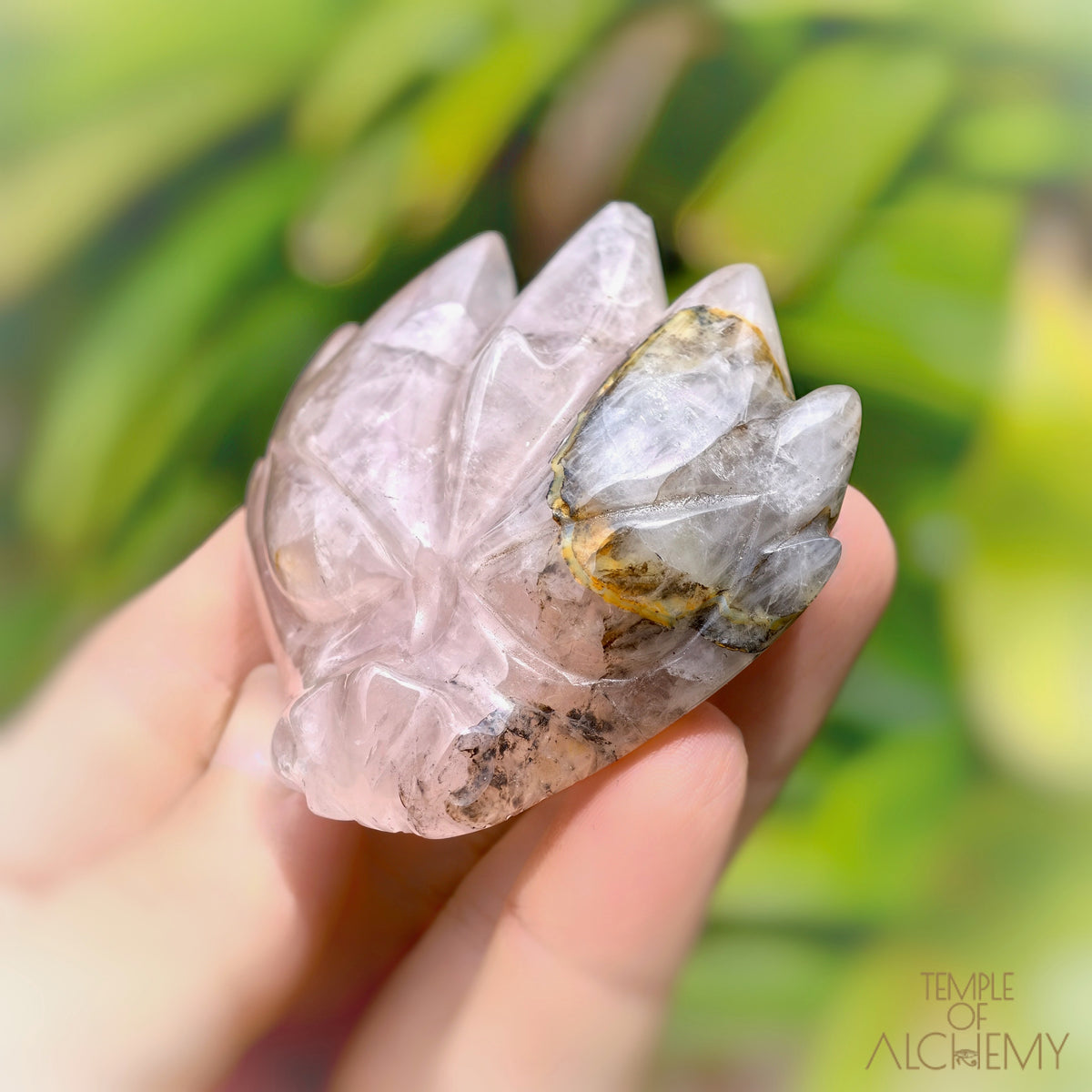 Carbon Included Rose Quartz x Golden Healer