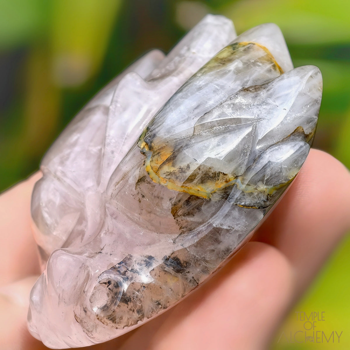 Carbon Included Rose Quartz x Golden Healer
