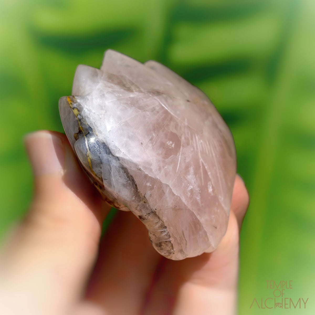Carbon Included Rose Quartz x Golden Healer