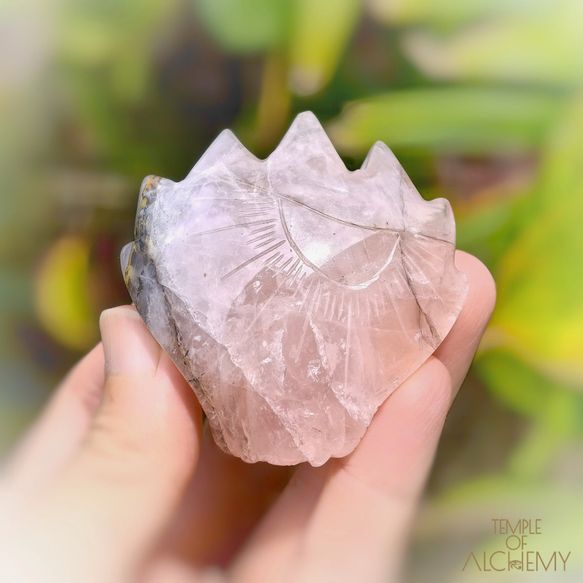 Carbon Included Rose Quartz x Golden Healer