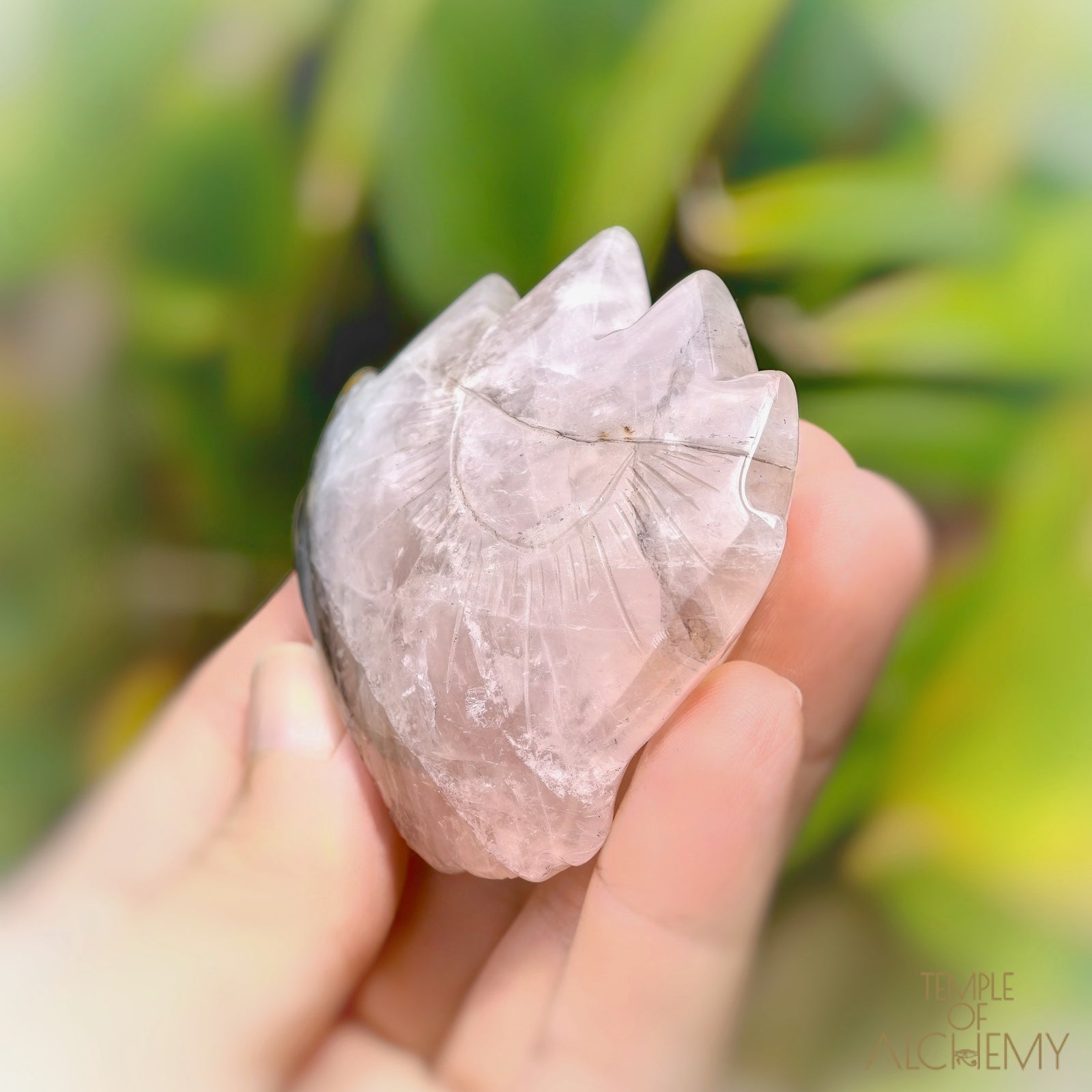 Carbon Included Rose Quartz x Golden Healer