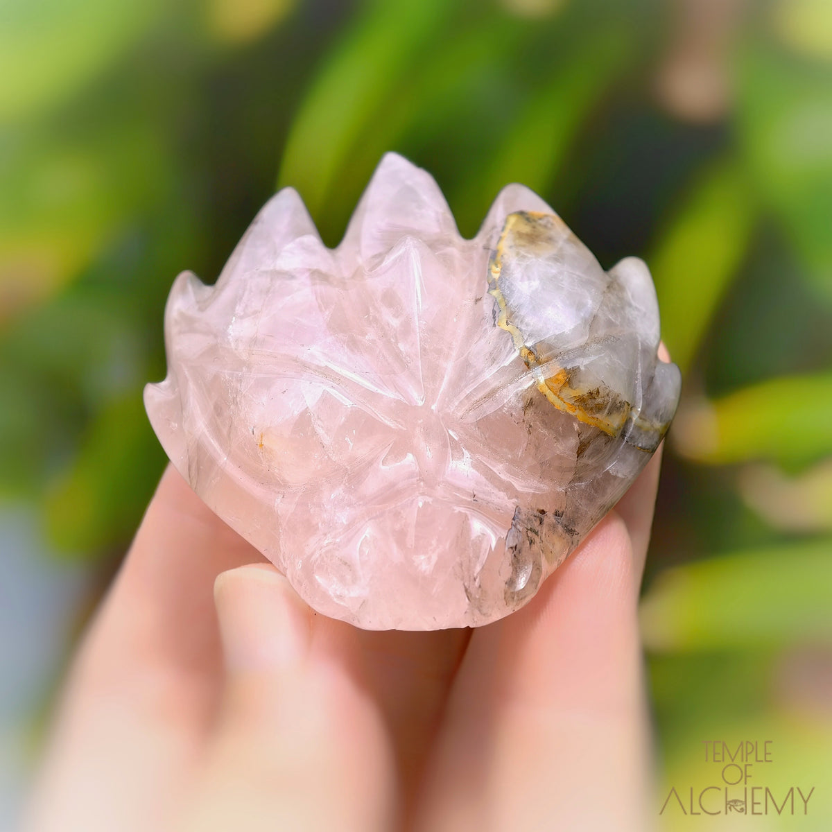 Carbon Included Rose Quartz x Golden Healer