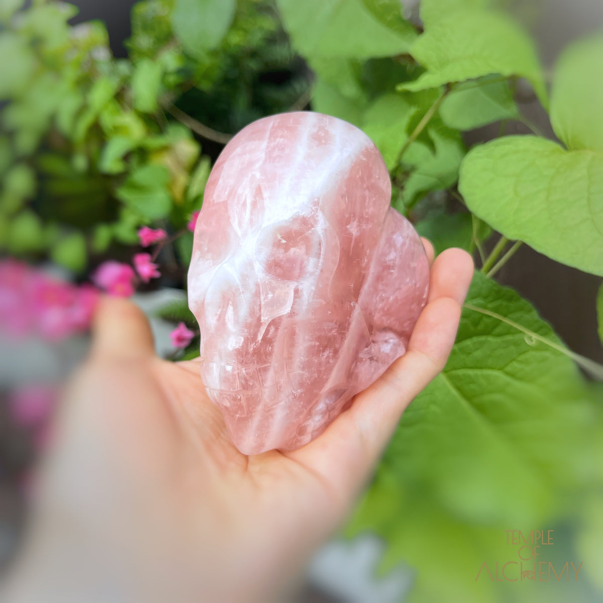 Rose Quartz
