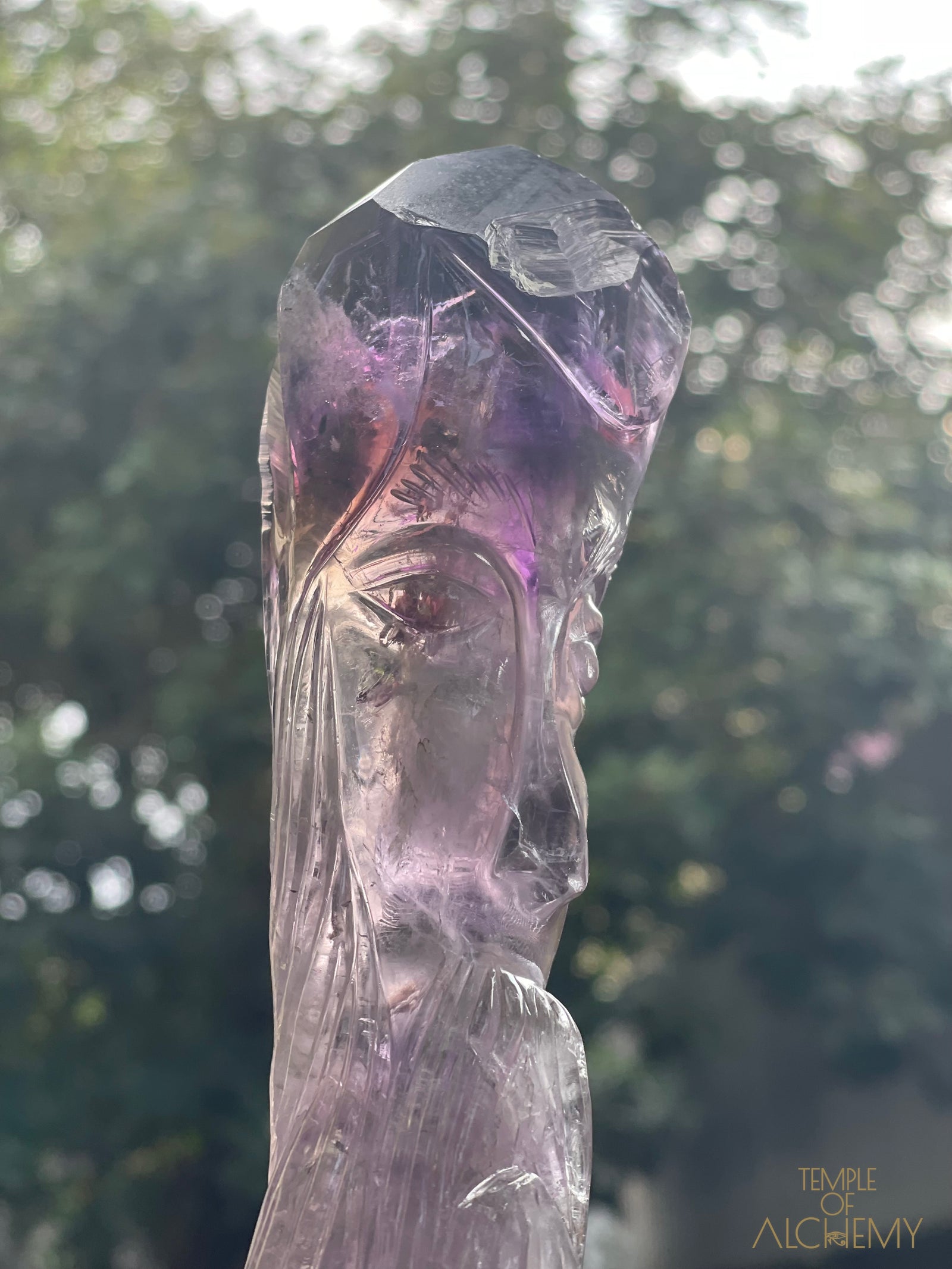 Record Keeper 𓄂♡𓆃 Phantom Ametrine