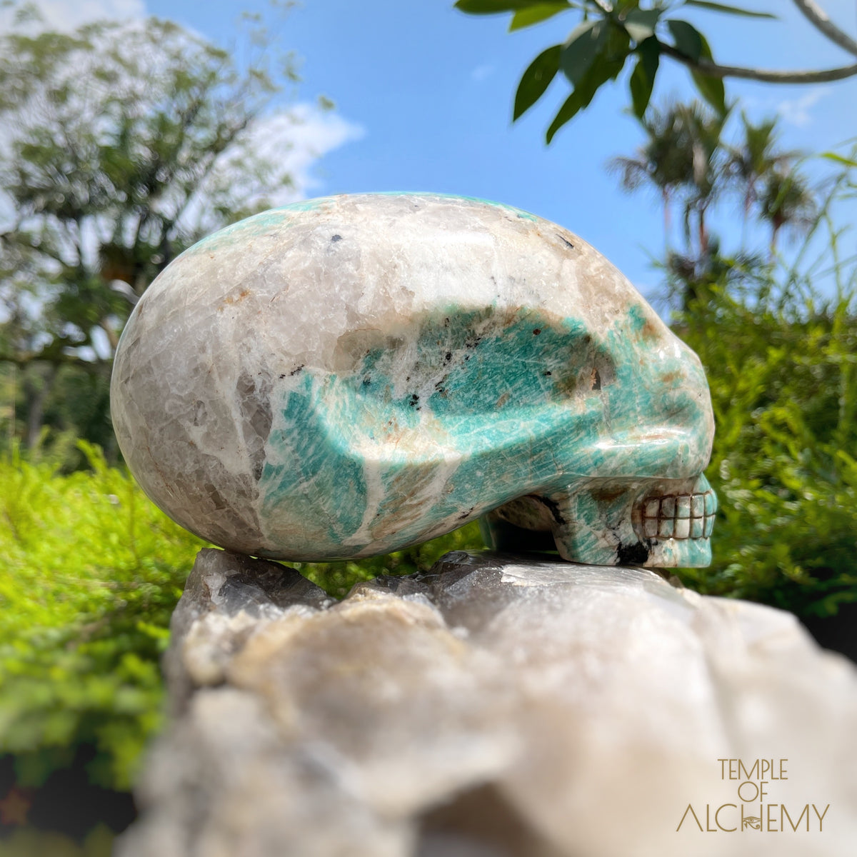 Amazonite x Black Tourmaline x Epidote