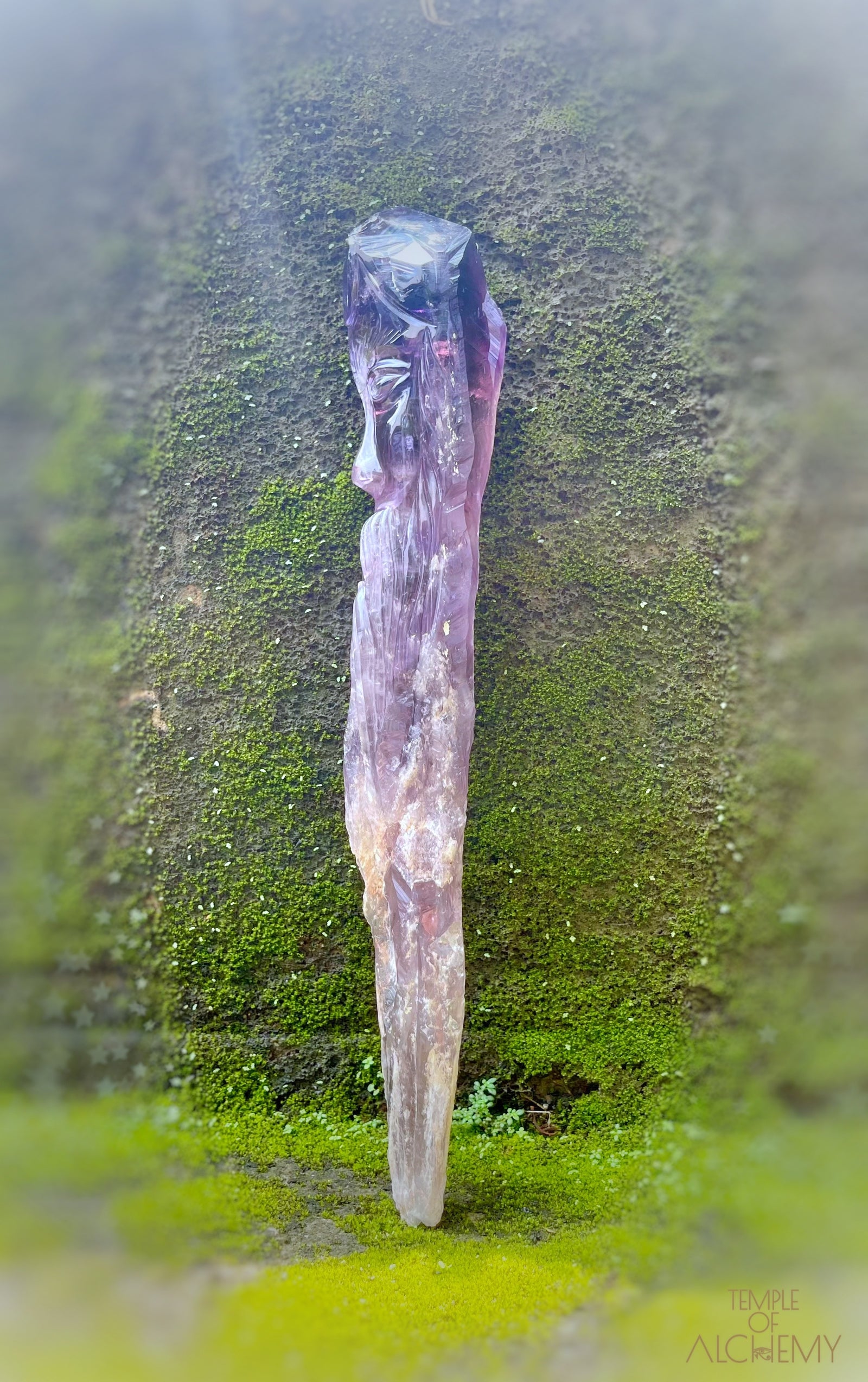 Record Keeper 𓄂♡𓆃 Phantom Ametrine