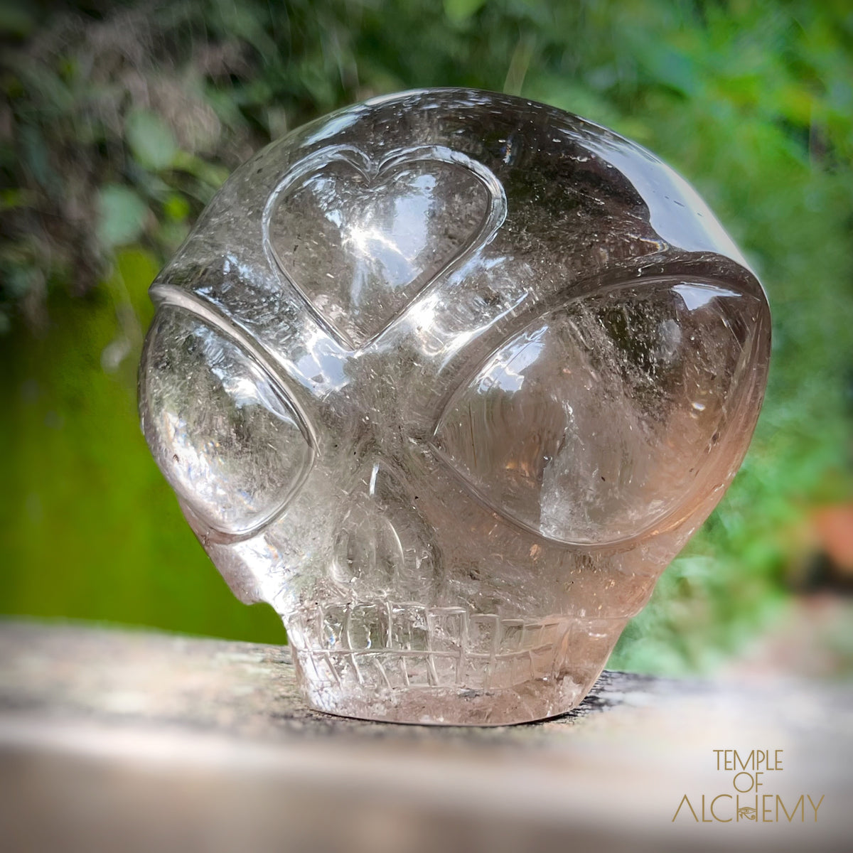 Smoky Quartz X Golden Rutiles