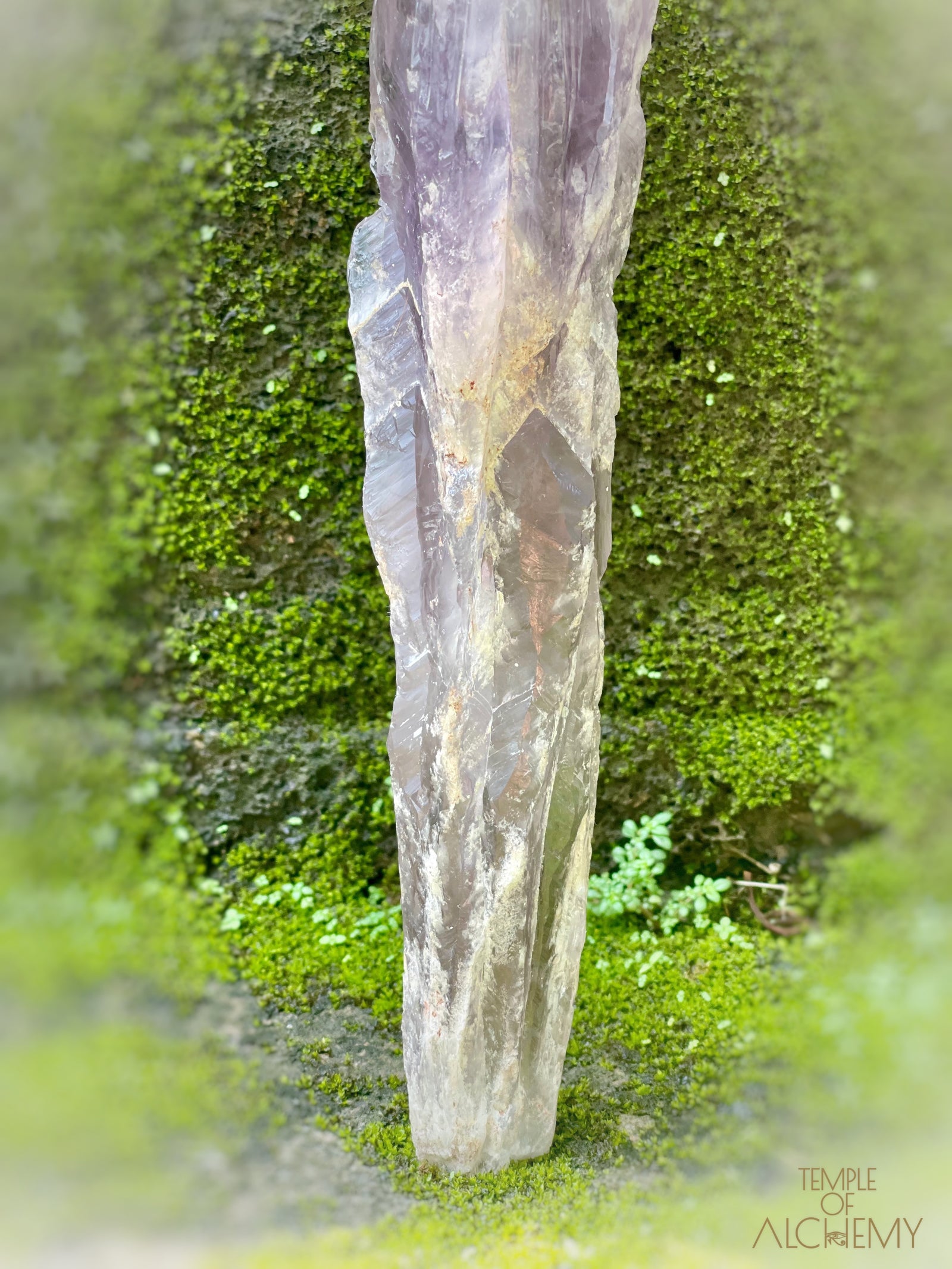 Record Keeper 𓄂♡𓆃 Phantom Ametrine