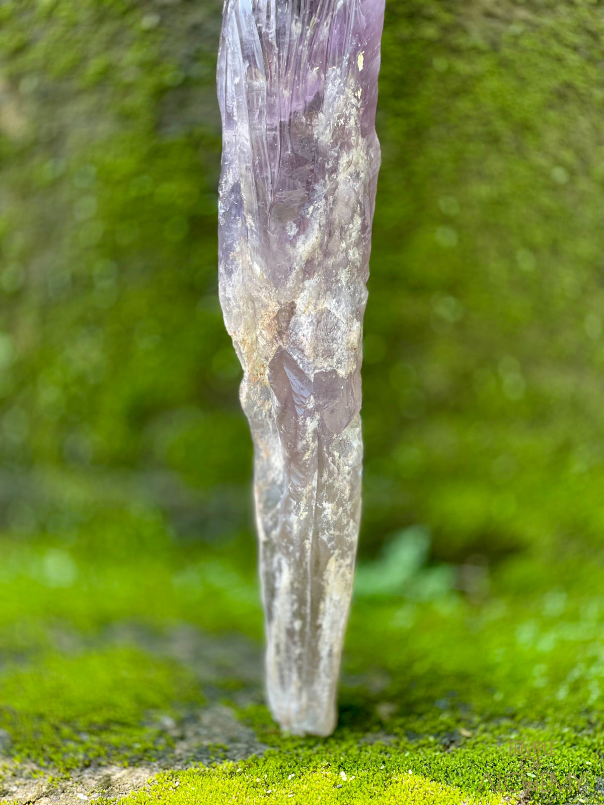 Record Keeper 𓄂♡𓆃 Phantom Ametrine