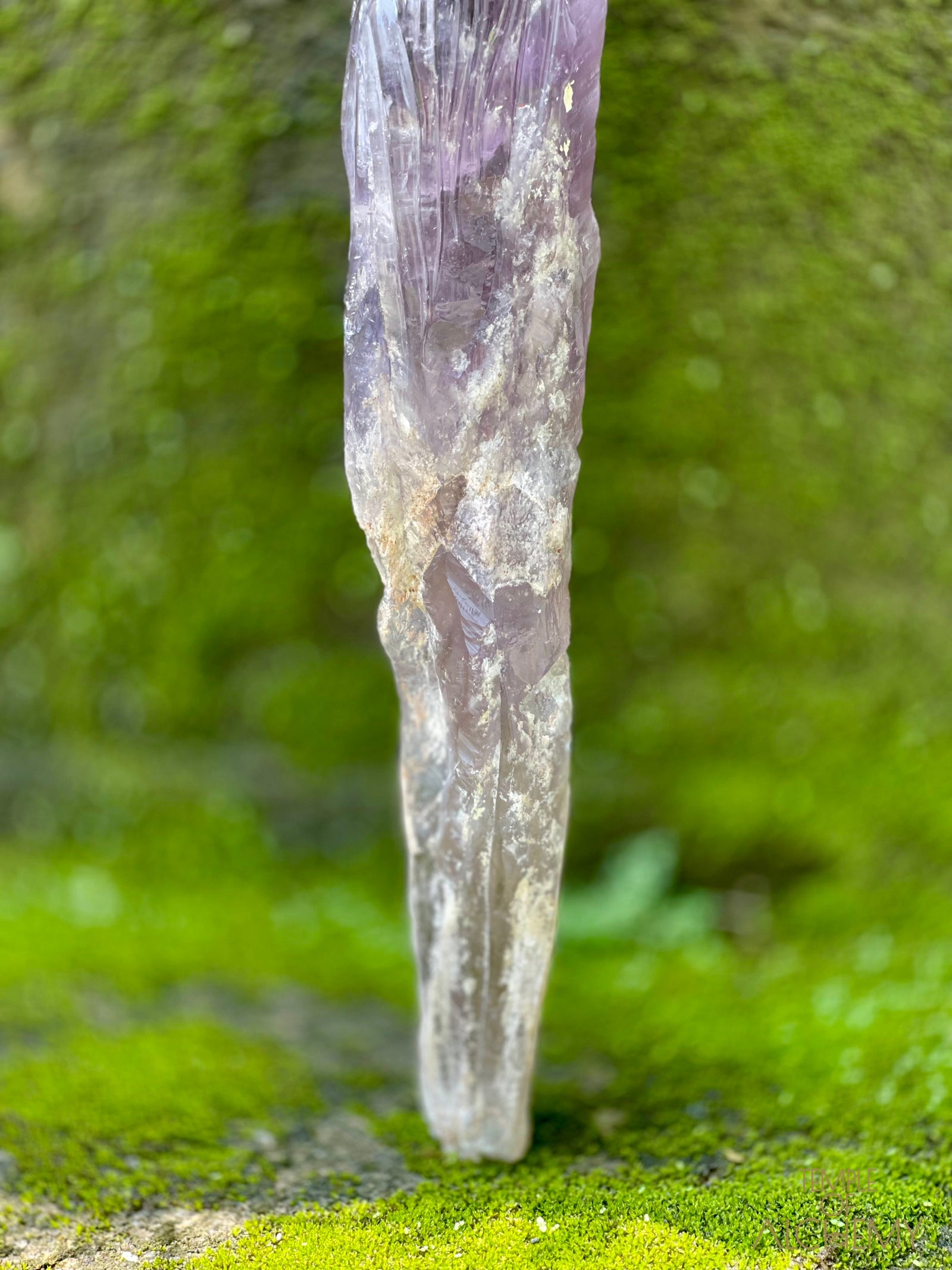 Record Keeper 𓄂♡𓆃 Phantom Ametrine