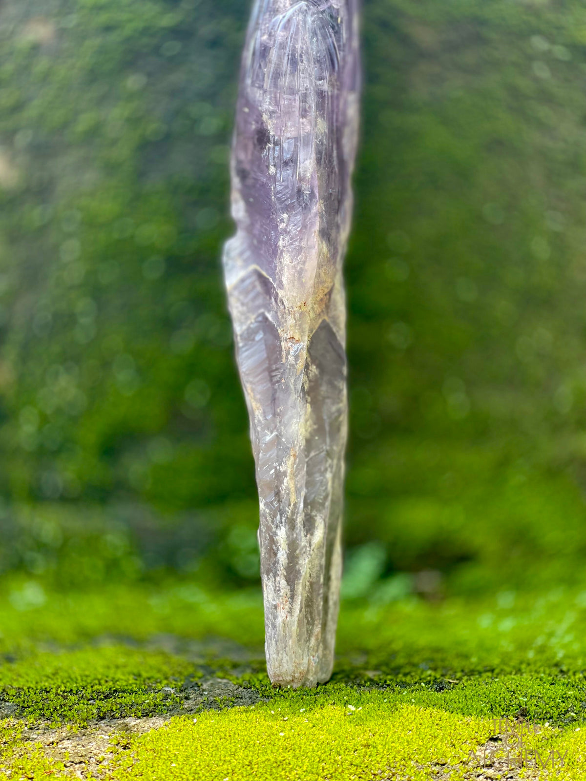 Record Keeper 𓄂♡𓆃 Phantom Ametrine