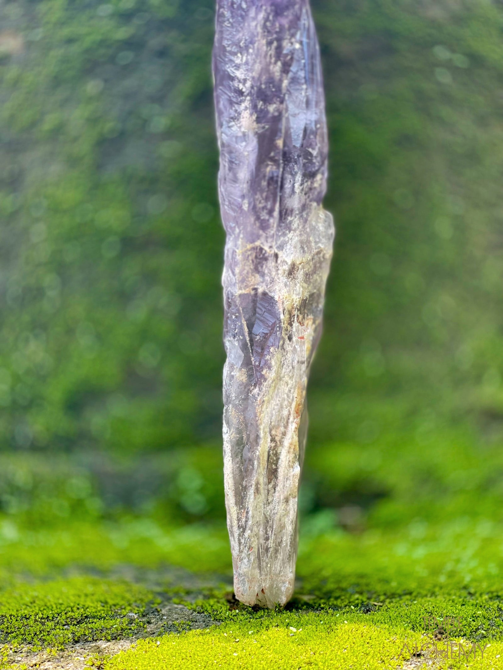 Record Keeper 𓄂♡𓆃 Phantom Ametrine