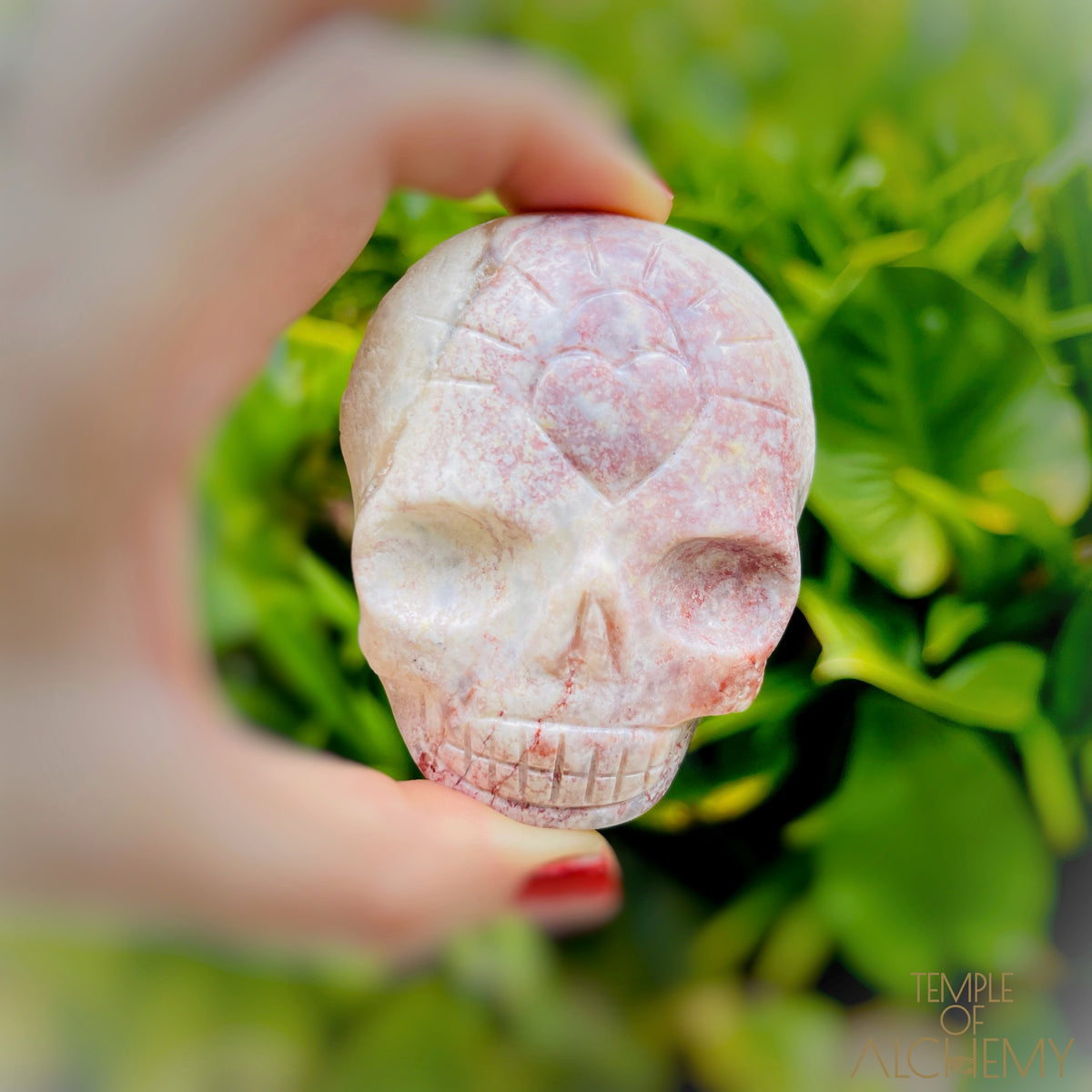 Triphylite x Lithium