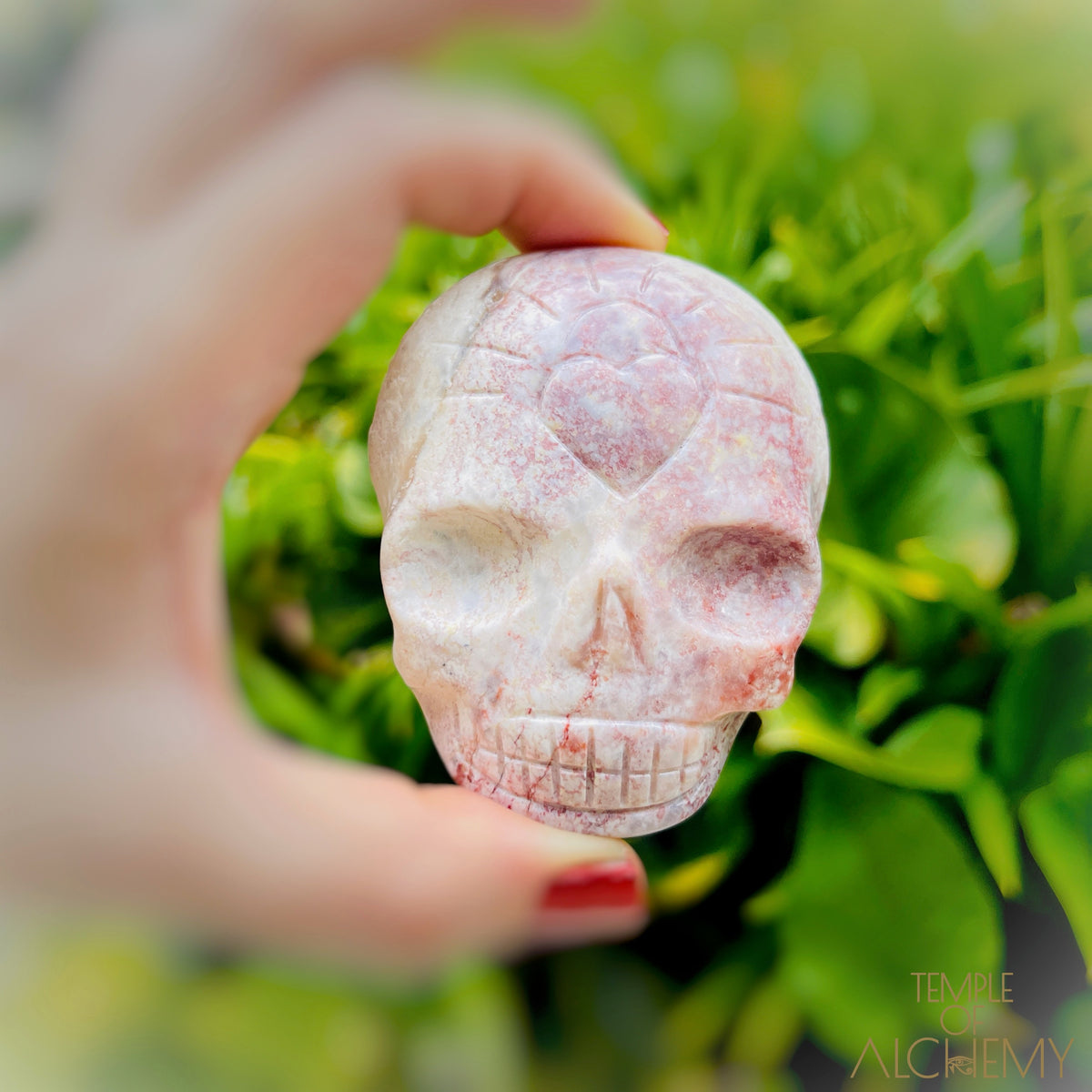 Triphylite x Lithium