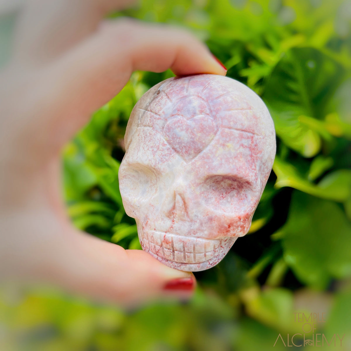 Triphylite x Lithium