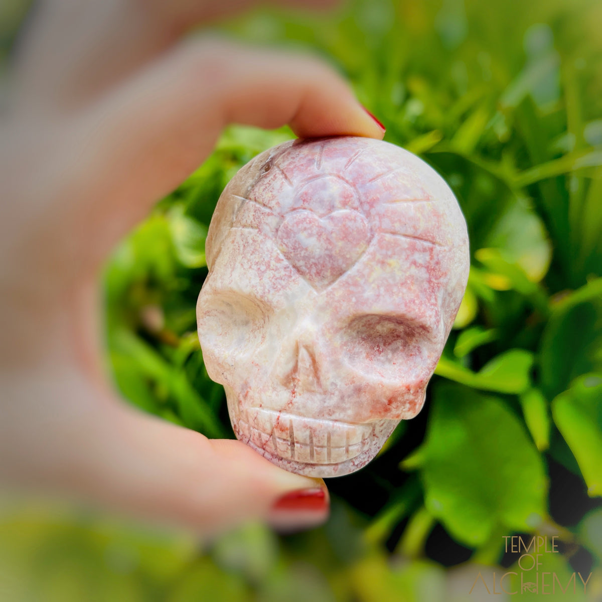 Triphylite x Lithium