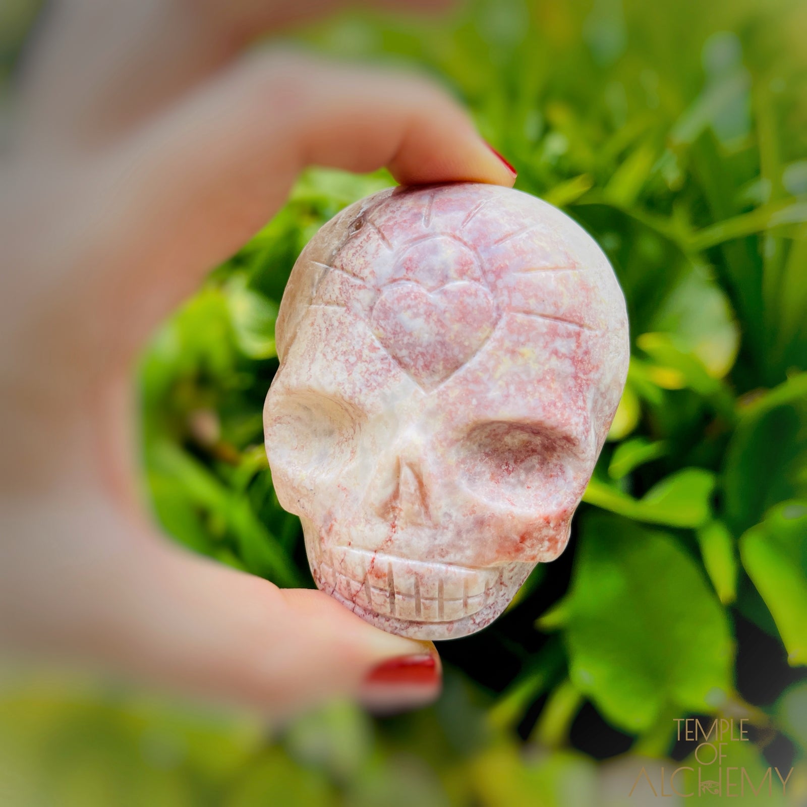 Triphylite x Lithium