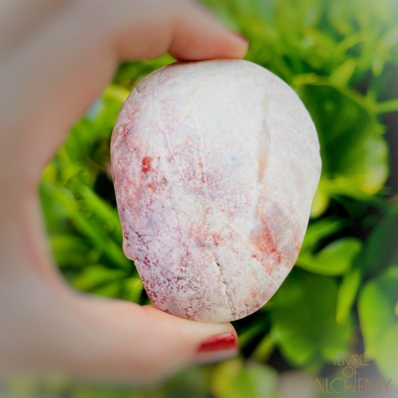 Triphylite x Lithium