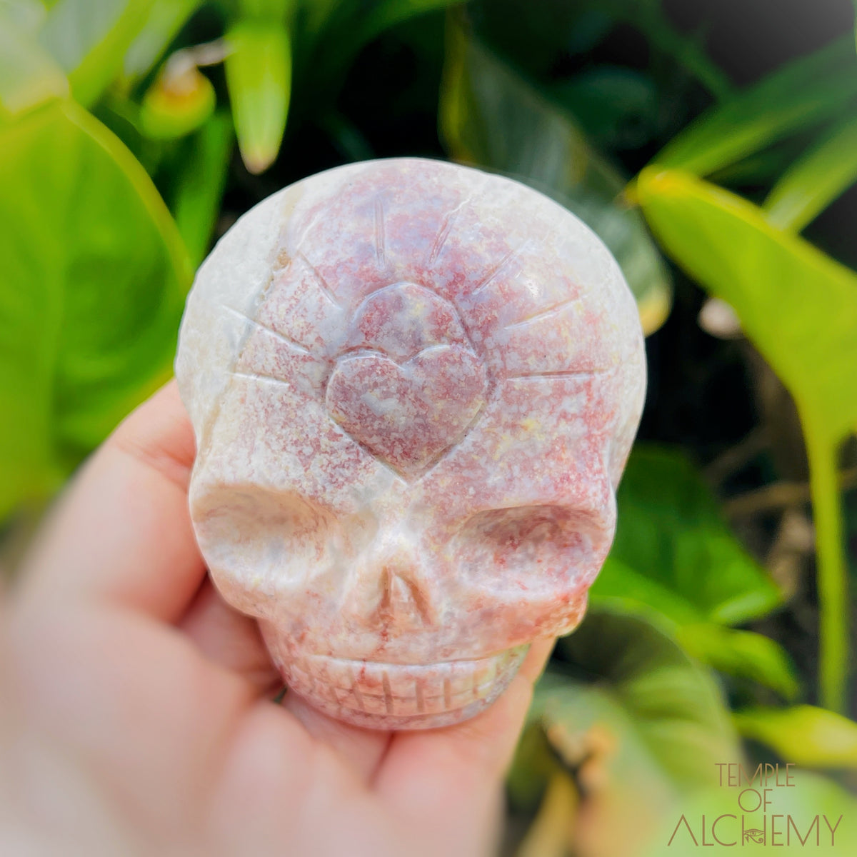 Triphylite x Lithium