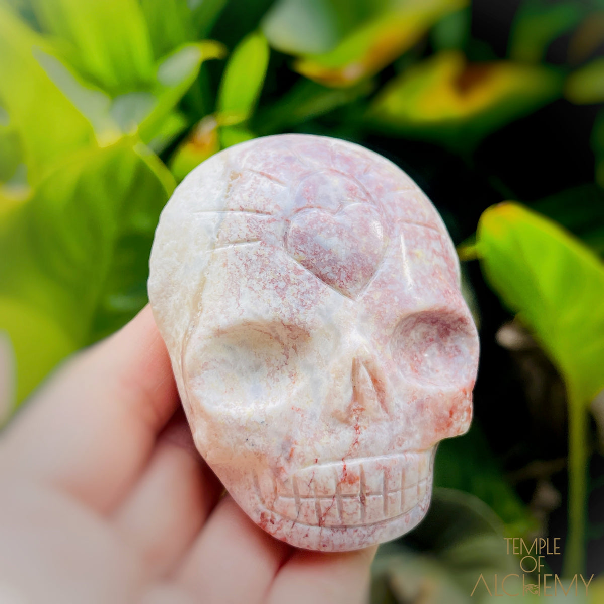 Triphylite x Lithium