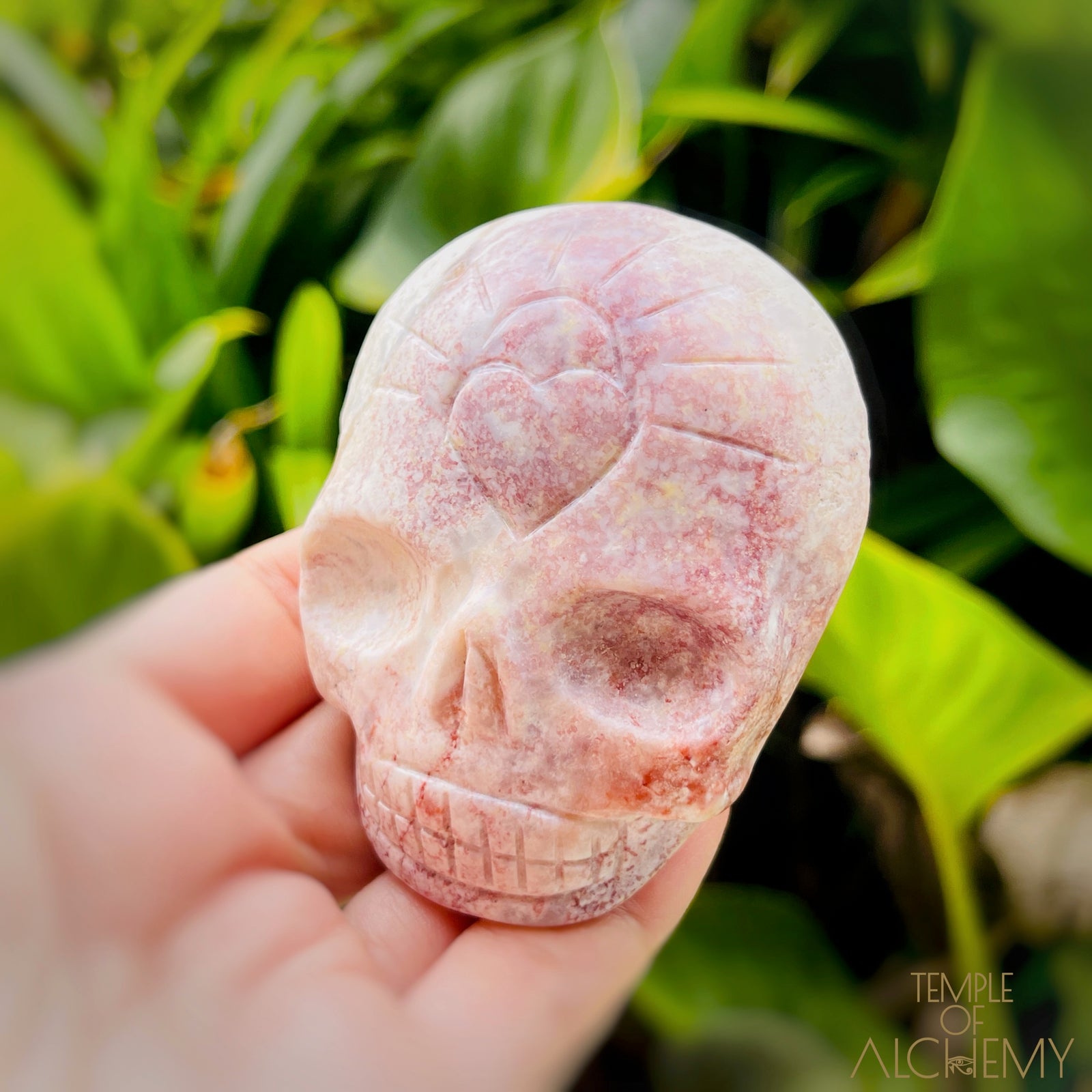 Triphylite x Lithium