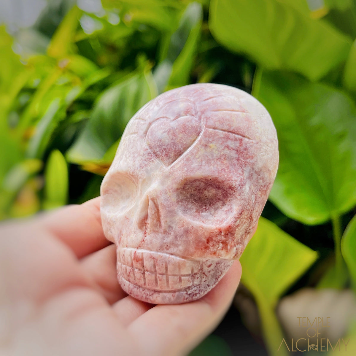 Triphylite x Lithium