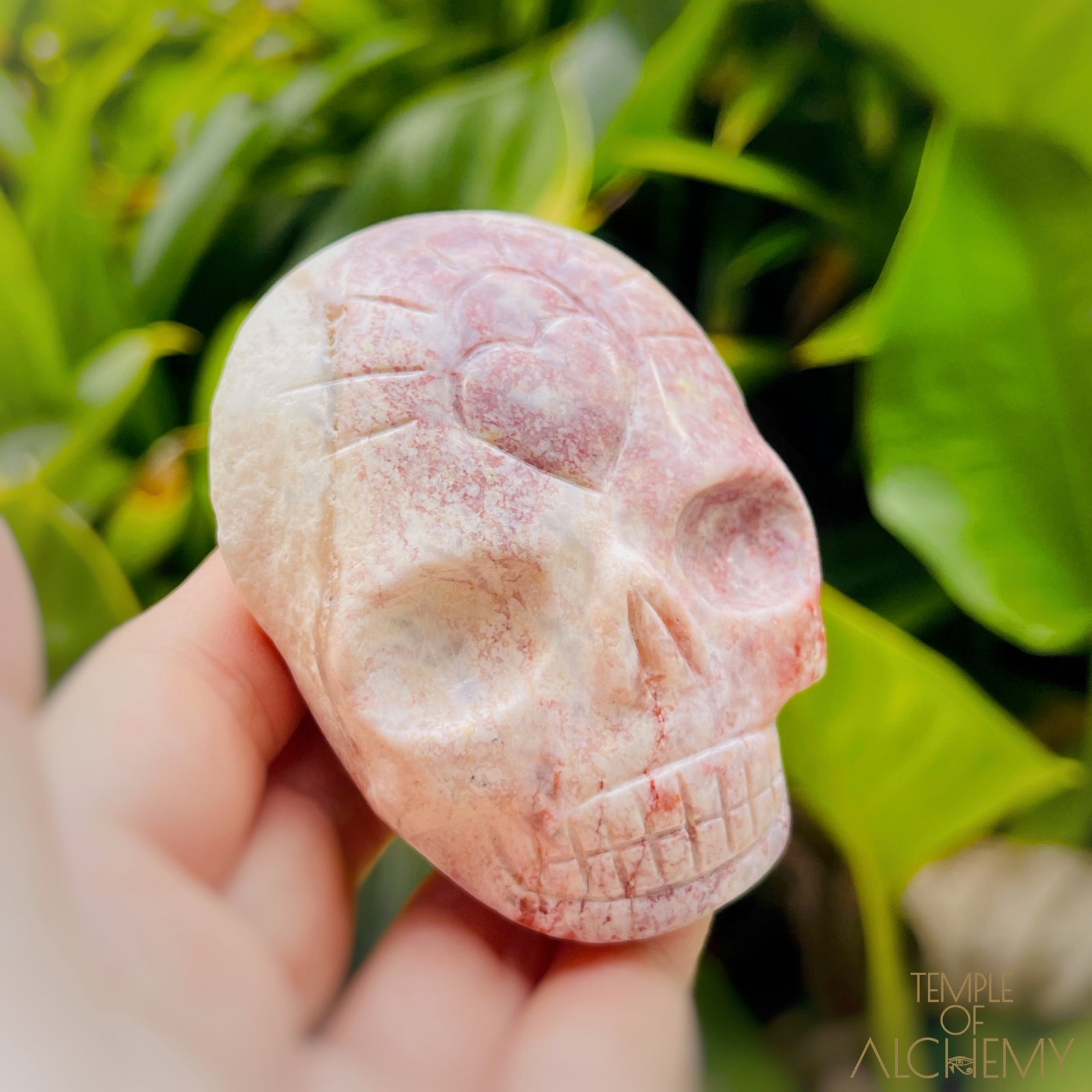 Triphylite x Lithium