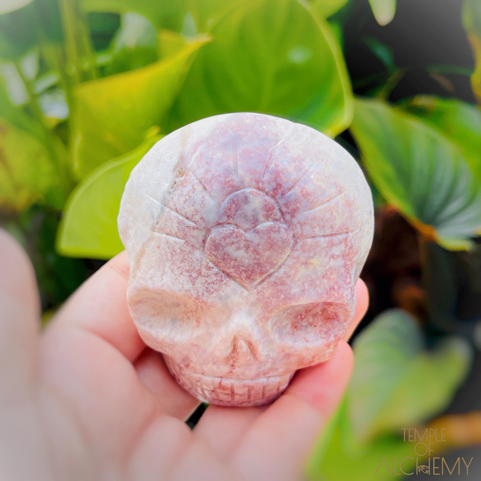 Triphylite x Lithium