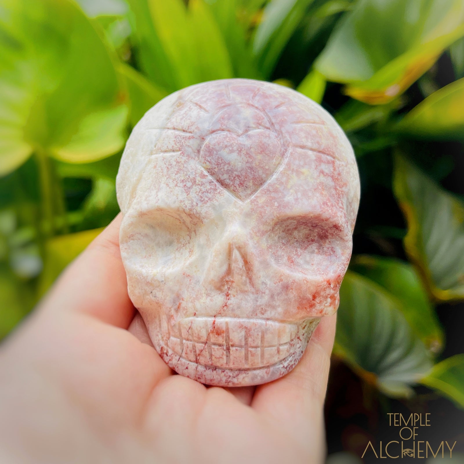 Triphylite x Lithium