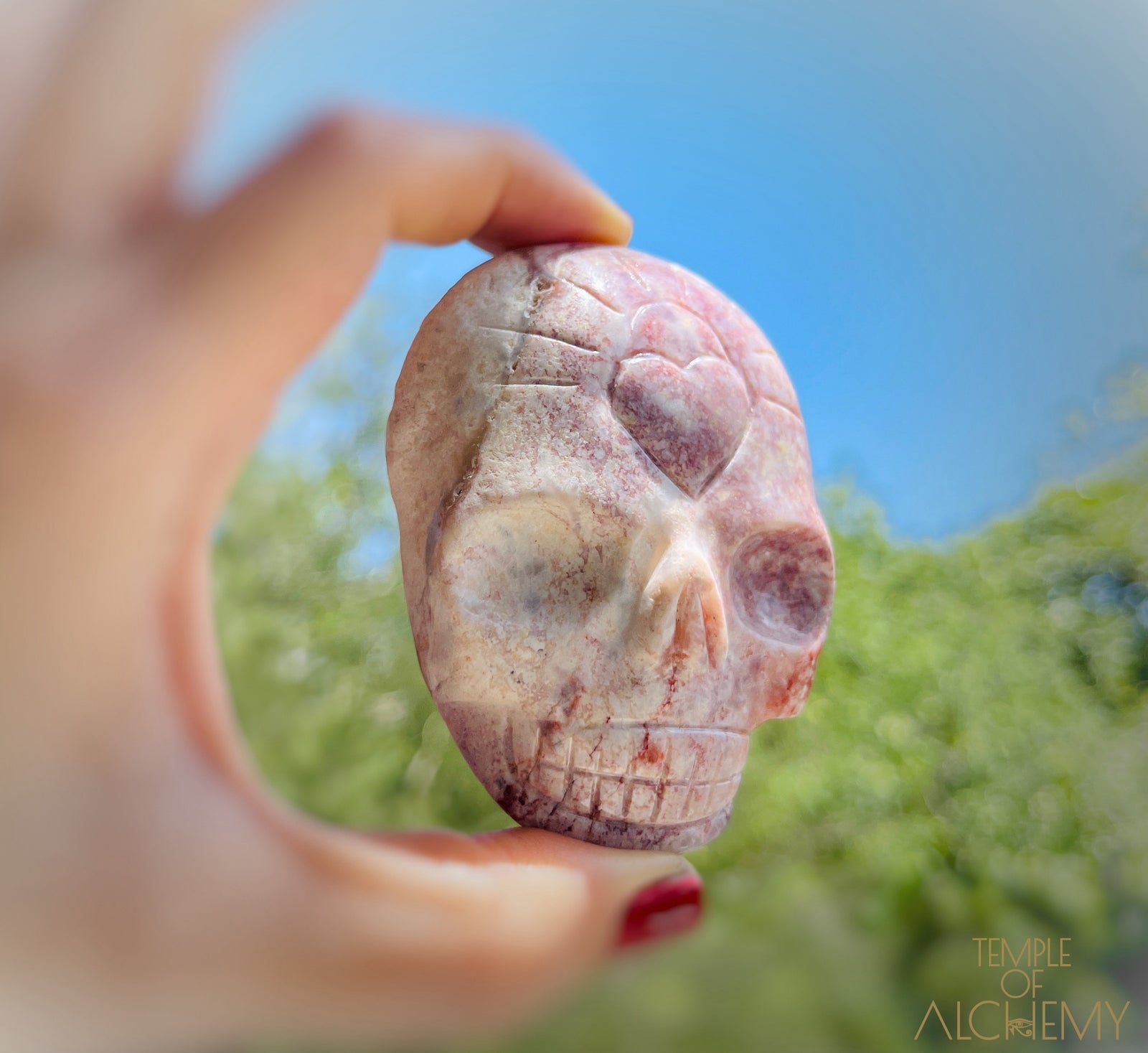 Triphylite x Lithium