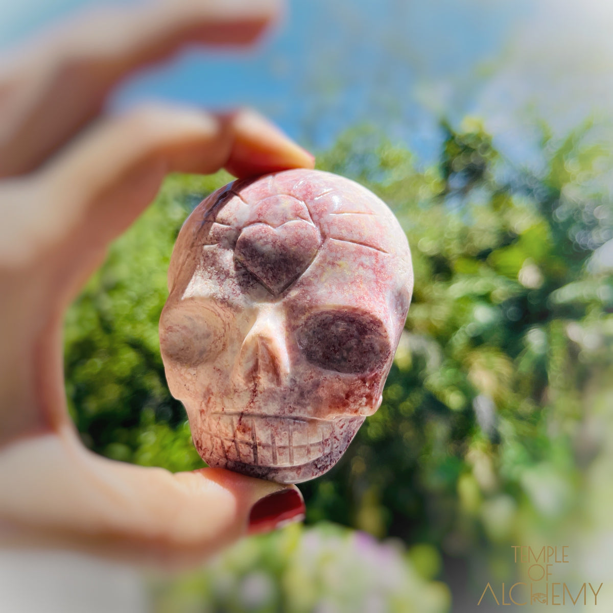 Triphylite x Lithium