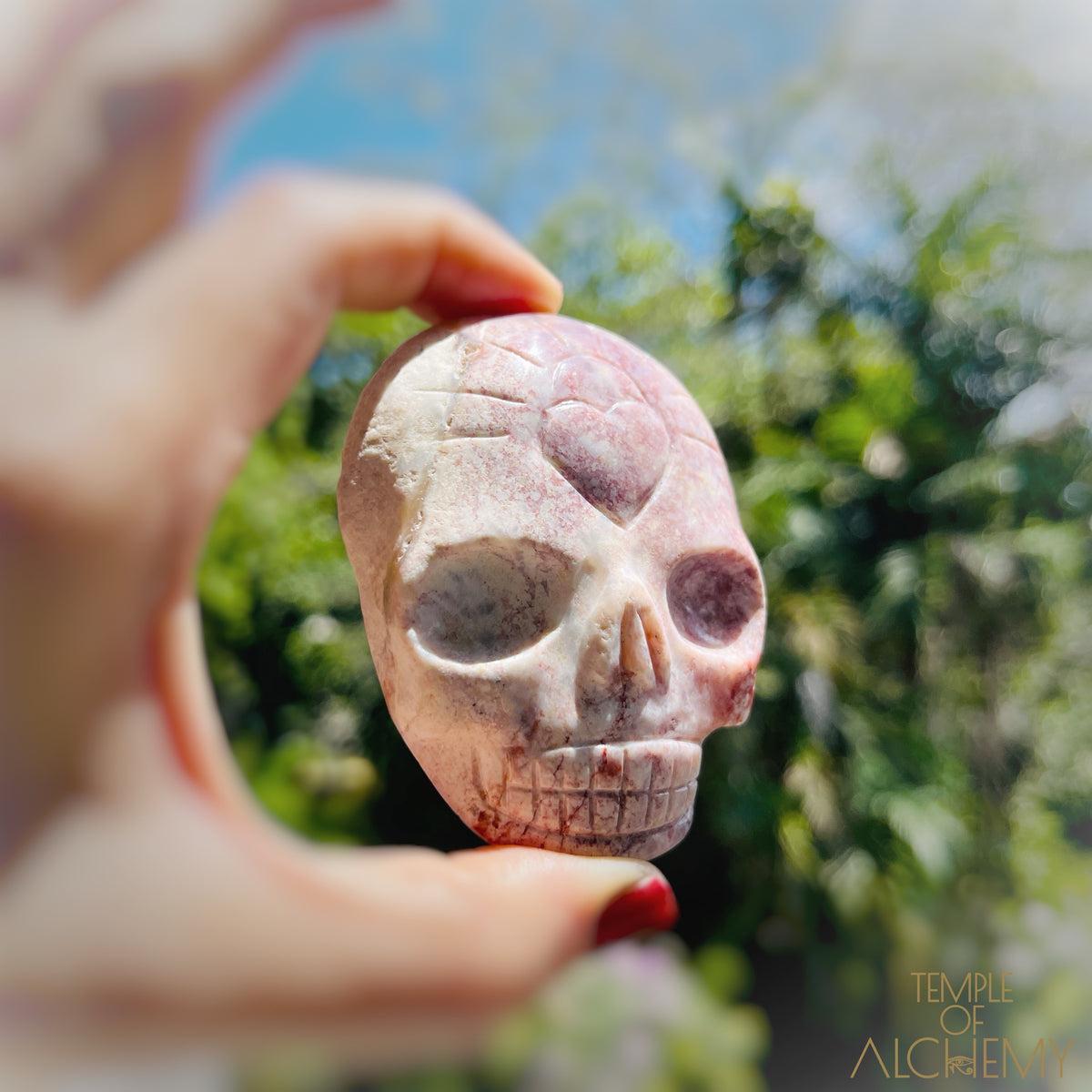 Triphylite x Lithium